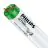 Philips MASTER TL-D Actinic BL 18W - Ultravioletti | 60cm