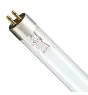 Philips T5 TL - Mini UV - C 16W - Ultravioletti | 29cm