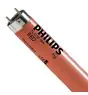 Philips MASTER TL-D 18W - Punainen | 60cm