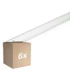 Monipakkaus 6x Philips T8 UV - C 36W - Ultravioletti | 120cm